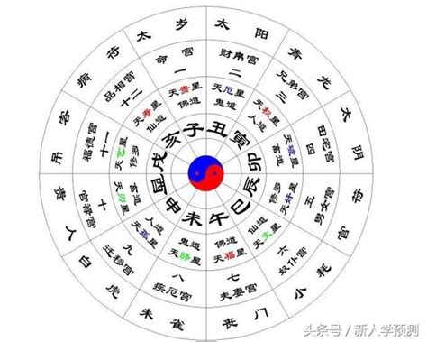 五行八字命盤|〈劍靈命理網〉八字算命解析/行運論斷